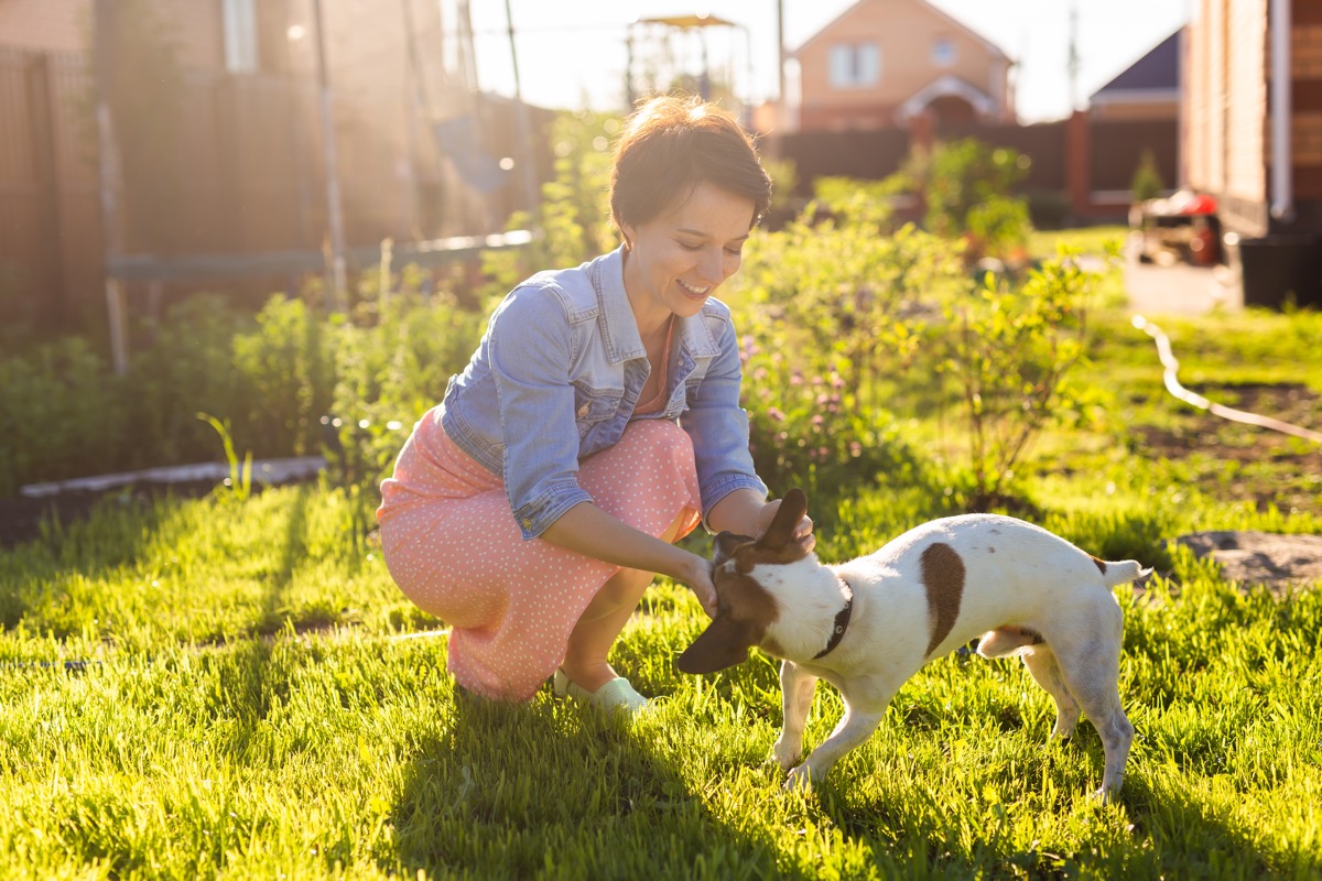 Dog Food Allergies Identifying And Treating Common Symptoms